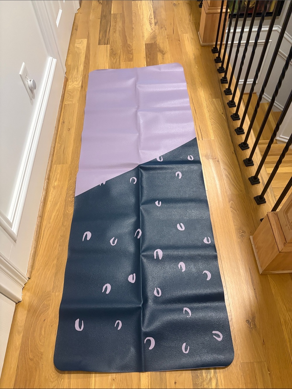 NWOT Anthropologie LIVE MINDFULLY Foldable Travel Yoga Mat